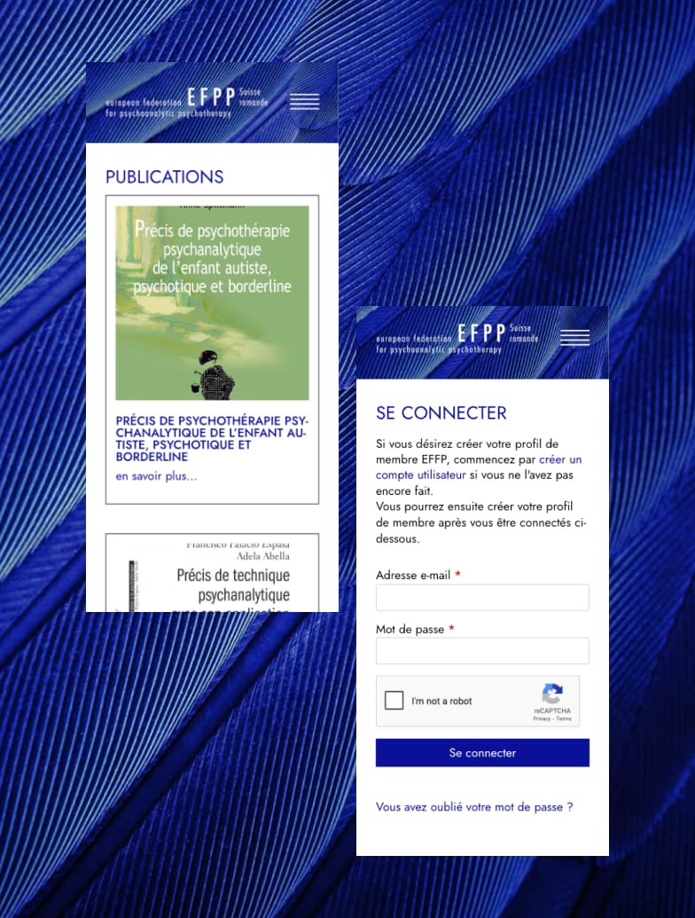 efpp projet